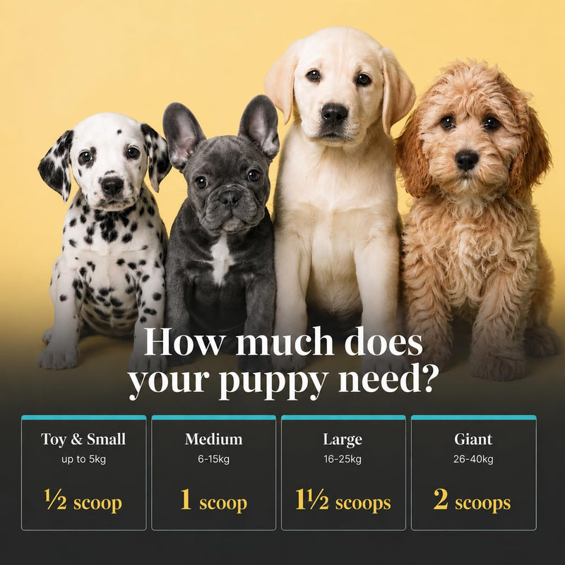 Puppy Multivitamin Powder – Advanced Growth & Development Formula | 11 Vitamins, Collagen, Goat Milk & Coconut Water | Immune, Brain, Bone & Skin Support | 60 Servings