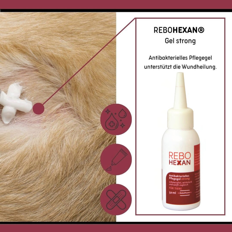 Gel Strong 50 ml: High Viscous Care Gel for Animal Wounds, Accelerates Wound Healing, Reduces Scars, Prevents Sticking to Dressings, Ideal for Skin Care