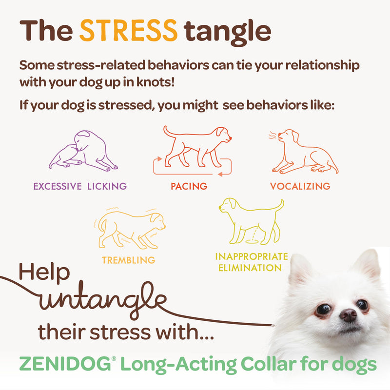 Dog Calming Collar with Pheromones - Zenidog Long-Acting Collar, Dog Calming Pheromone Collar, Long-Acting Pheromones for Dogs, Calming Collar, Dog Calming, Calming Collar for Dogs (Large Dogs) Large Dogs - PawsPlanet Australia