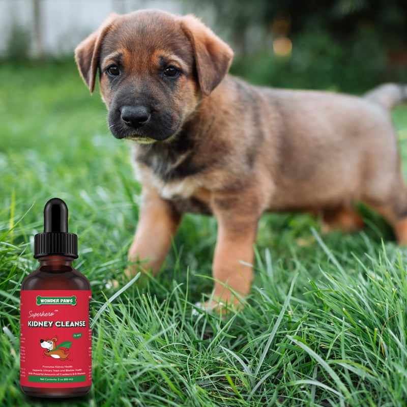 Kidney Cleanse Drops Plus Milk Thistle Drops - for Dog Urinary Tract, Kidney, Liver Health & Overall Wellness – Kidney Cleanse 2 Ounces - Milk Thistle 2 Ounces - BeesActive Australia