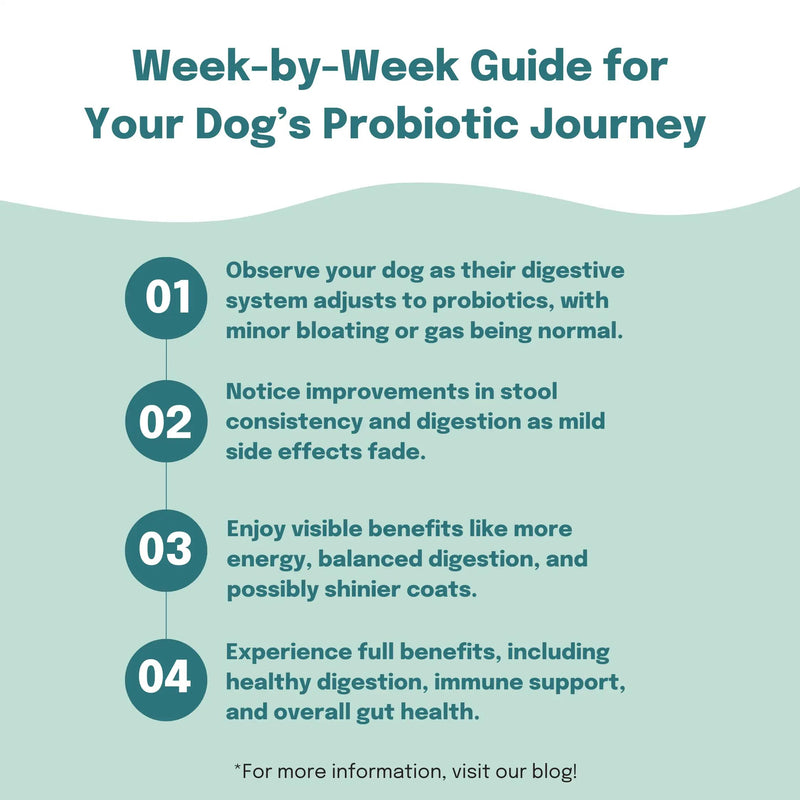 Buddy & Lola Probiotics For Dogs - Daily Dog Probiotic Chews For Digestive Health - Beneficial Prebiotics, Probiotics & Fibre For Better Gut, Firm Stools, Less itching - Plant Based Chews For Dogs 60 Soft Chews (1 Tub)