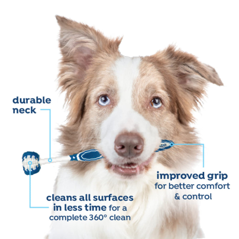 Fresh Breath Certified Wellness Collection Vet Strength Oral Care Kit for Large Dogs | Removes Plaque & Tartar | Freshens Bad Dog Breath | Teeth Cleaning Kit - PawsPlanet Australia