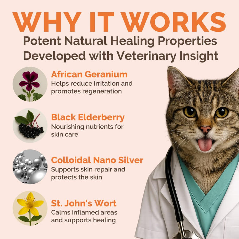 Cat Hot Spot & Itch Relief Spray | Fast-Acting, No-Touch Skin Soothing Spray | Gentle Mist for Sensitive Cats & Kittens | Targets the Source of Irritation | Natural Ingredients & Colloidal Silver