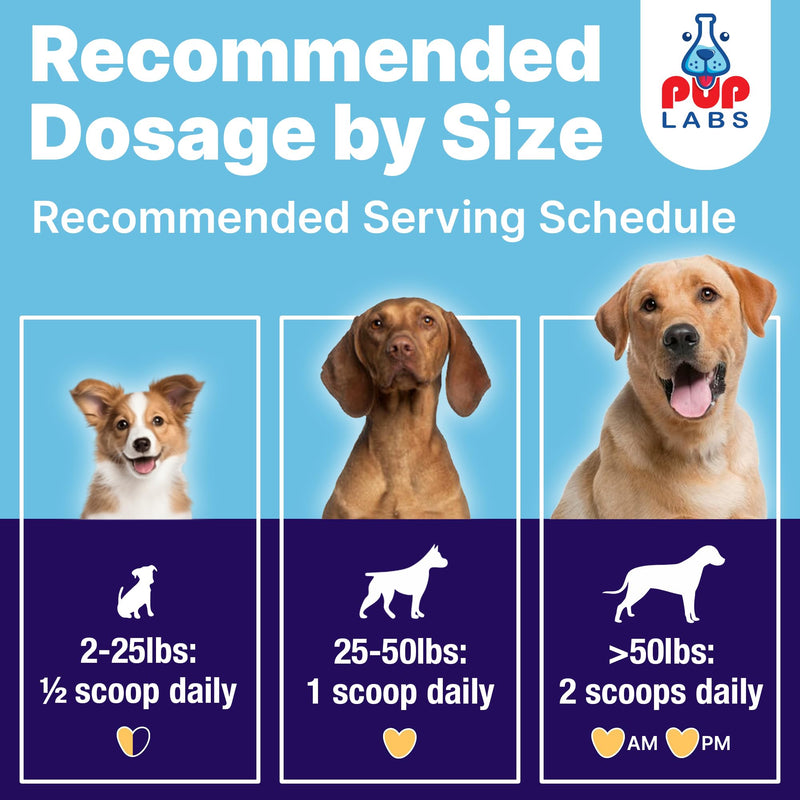 All-Natural and Expert-Formulated Dental Powder for Dogs, Dog Dental Supplement for Healthy Teeth and Against Leaky Gums for Dogs 12+ Weeks, Made in The USA with The Standards, 20 Serv - PawsPlanet Australia