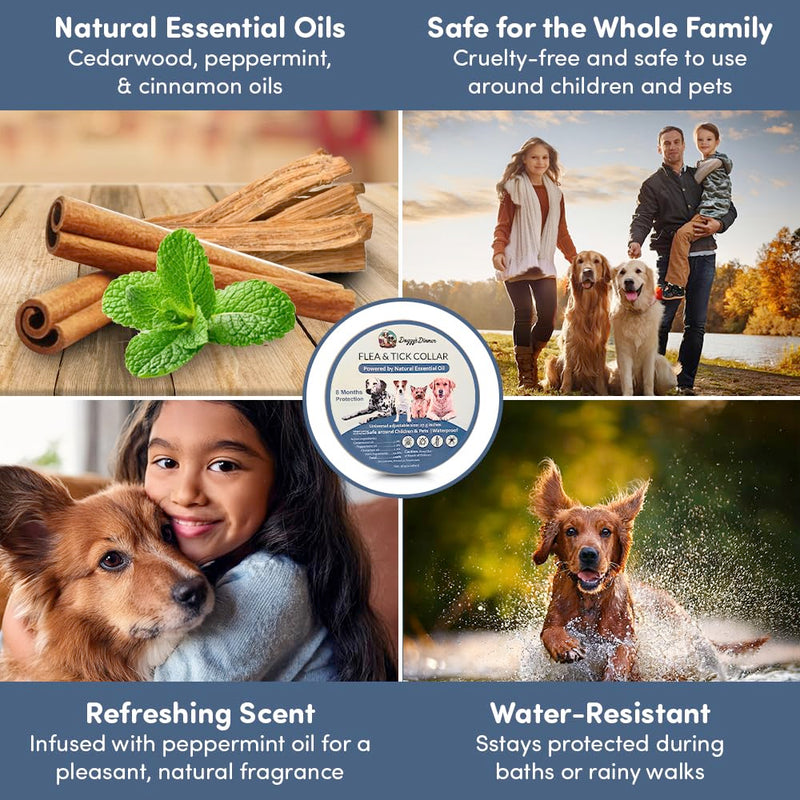 Flea and Tick Collar for Dogs and Cats- Lasts Up to 8-Months Using Natural Plant-Based Oils - Safe for Pets, People and The Environment - 2-Pack Flea Collar for Dogs and Cats - BeesActive Australia