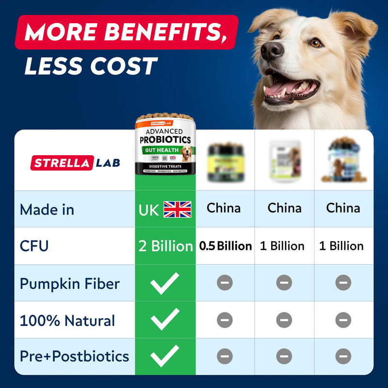 Advanced Probiotics for Dogs Gut Health with Fibre - Pre, Post & Probiotic Treats - Dogs Digestive Health Sensitive Tums Support - All Breeds & Ages - Dog Probiotics for Gut Health (180 Ct) Pork 180Ct Probiotic Chews