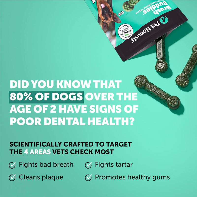 Pet Honesty Dog Wellness Virtual Bundle – Allergy Relief Immunity Chews (90 Ct) + Brush Buddies Dental Sticks for Large Dogs (8 Ct) – Itch Support, Plaque & Breath Care