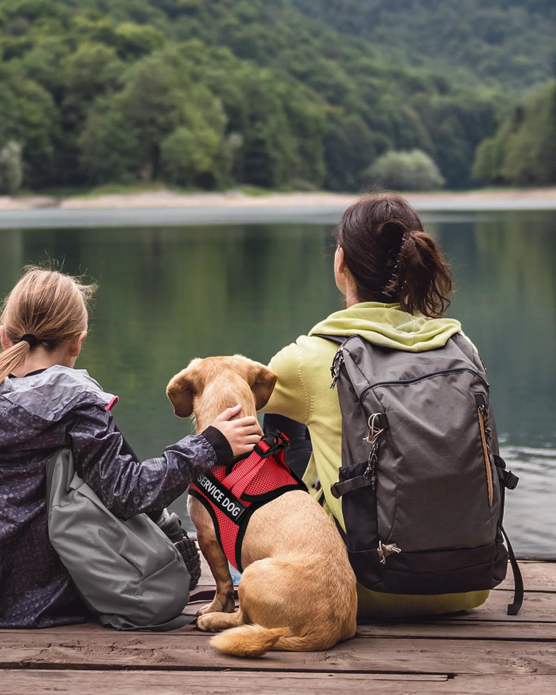 FAYOGOO Service Dog Vest for Small Breed - Lightweight Dog Harness with 6PCS Removable Patches - Puppy Harness and Leash Set for Walking,Training Red S(Chest 12''-14'') - BeesActive Australia