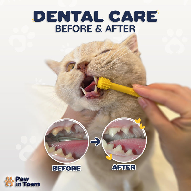 PAWINTOWN Soft Cat Toothbrush Set – Suitable for Dogs – Food Grade Silicone – Cat Dental Care, Cat Teeth Cleaning, Cat Tooth Brushing Kit (Tropical Teal) Tropical Teal 2 Count (Pack of 1) - BeesActive Australia