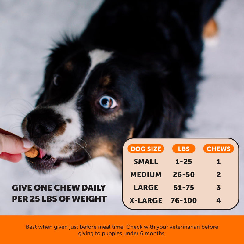 Senior Hemp Hip & Joint Support & Probiotics Virtual Bundle: Mobility Supplement & Gut Health Chews for Dogs (Chicken & Duck 90 ct)