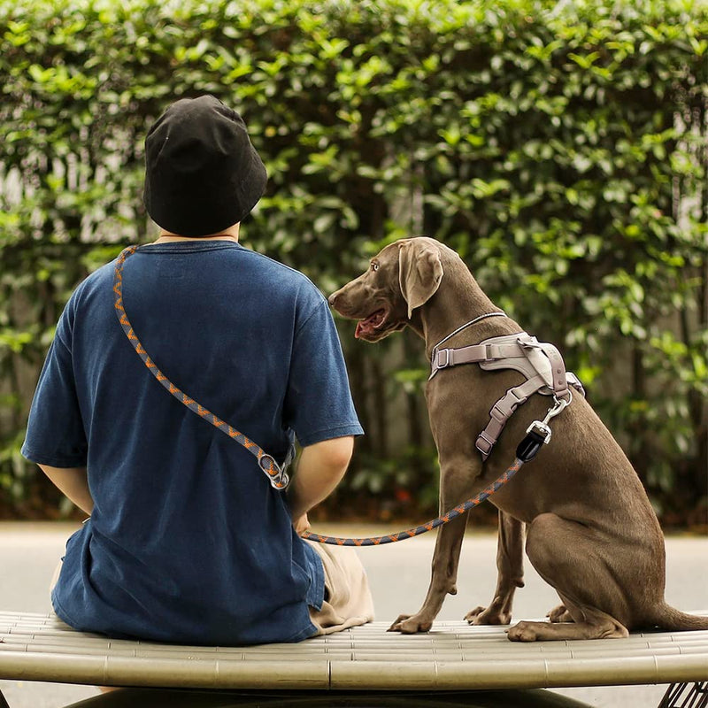 Pawstrip Hands-Free Dog Leash - Multifunctional Reflective Waist and Crossbody Training Leash for Walking and Running - Adjustable Nylon Double Leashes for Small, Medium, Large Dogs Orange