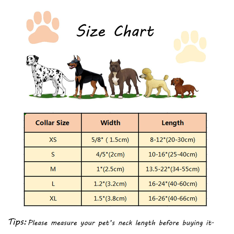 Valentine's Day Dog Collar, Heart Dog Collar for Small Medium Large Girl Boy Dogs or Cats, Wedding Dog Collar Match Dog Leash, Pet Collar with Metal Buckle, S, Neck 10-16in Colorfulhearts CC - BeesActive Australia