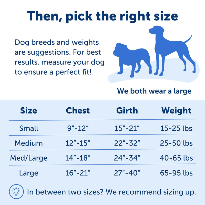 PetSafe Easy Walk Deluxe Dog Harness, No Pull Dog Harness – Perfect for Leash & Harness Training – Stops Pets from Pulling and Choking on Walks – Large, Ocean Large (Pack of 1) - BeesActive Australia