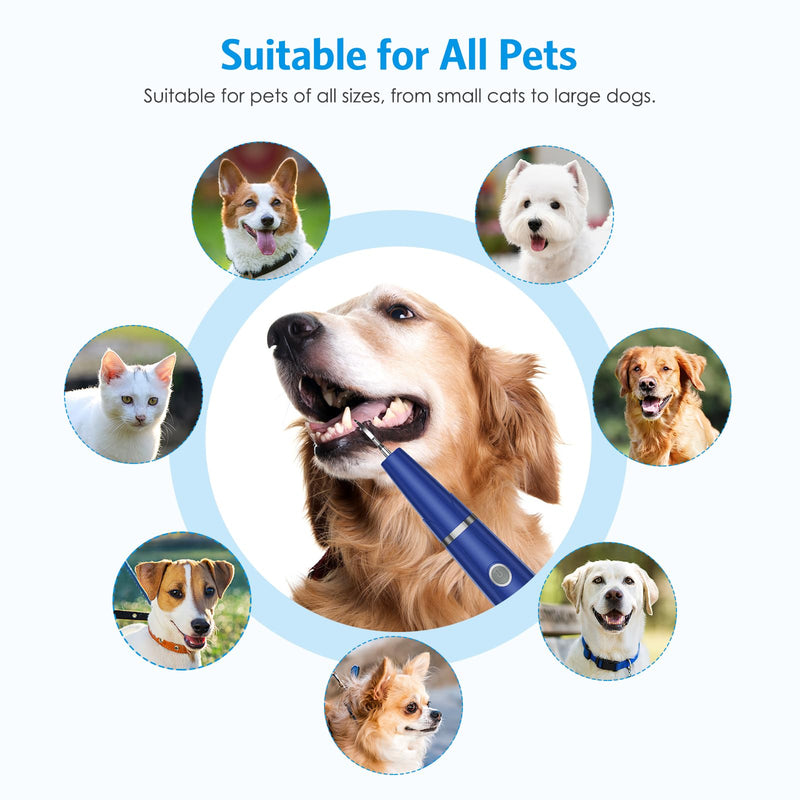 AMIR Ultrasonic Pet Plaque Remover, Electric Teeth Cleaning Kit for Dogs & Cats with 5 Modes, LED Light, IPX6 Waterproof, USB Rechargeable Toothbrush Cleaner for Dogs Cats (Blue)