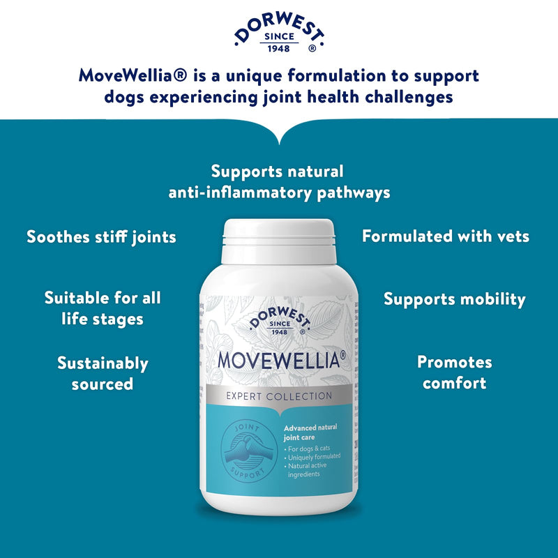 Dorwest Herbs MoveWellia Joint Care Supplement for Dogs and Cats - 200 Tablets - Natural Dog Supplements for Joint Discomfort with Boswellia, Chondroitin, Glucosamine and Celery Seed