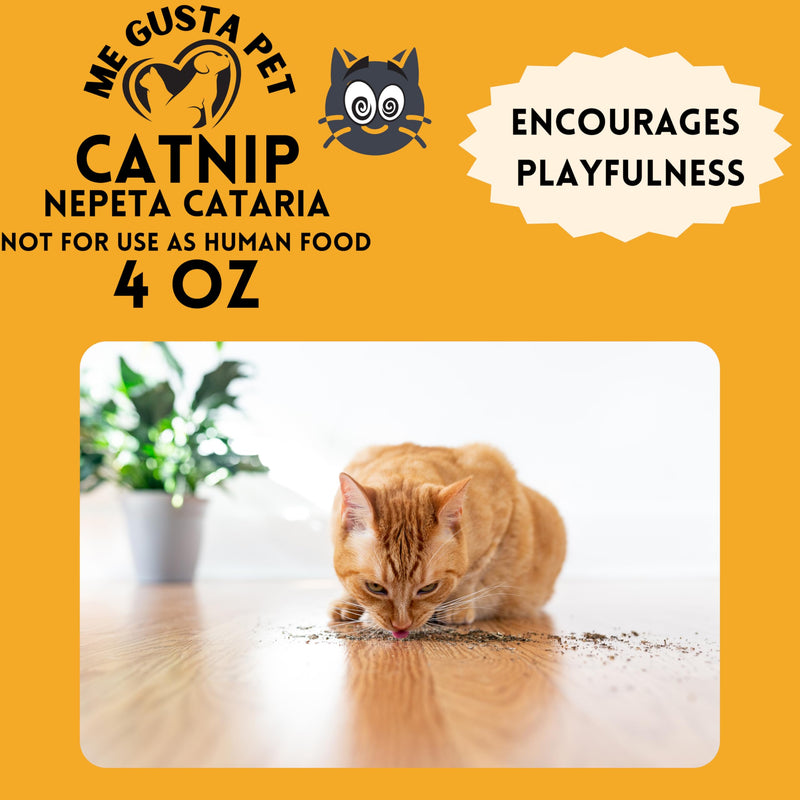 Catnip Cat Nip Blend | Premium Canadian Catnip Bulk Strong Cat Nip for Cats | Cat Nip Treats | All-Natural Cat Nip | Catnip Bag | Catnip Kitty Safe | Catnip Refill for Catnip Toys (4 Ounce) - BeesActive Australia