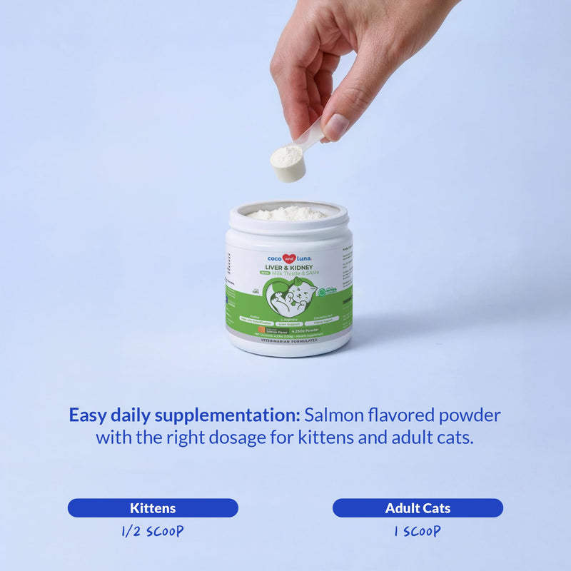 Liver and Kidney Support for Dogs & Liver and Kidney Support Powder for Cats
