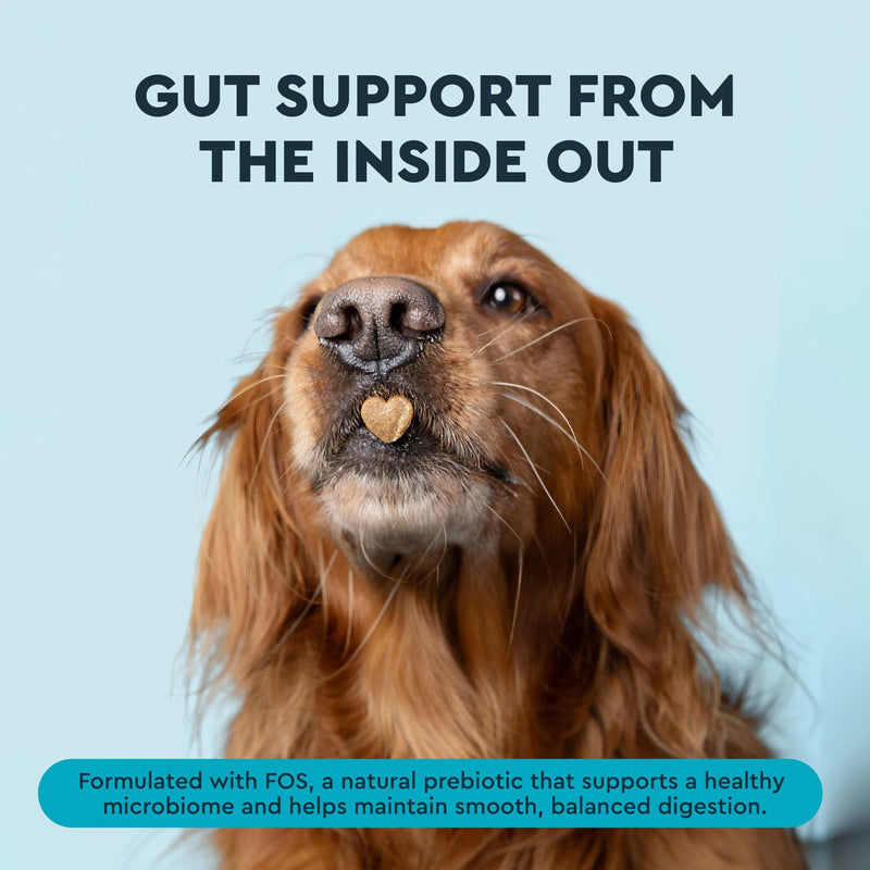 RADIUS OralPro+ Dog Dental Chew Sticks - Enzyme-Powered Plaque and Tartar Remover with Gut Health Prebiotics - Natural Vanilla Fresh Breath Treats for Dogs - 28 Count (Pack of 1)