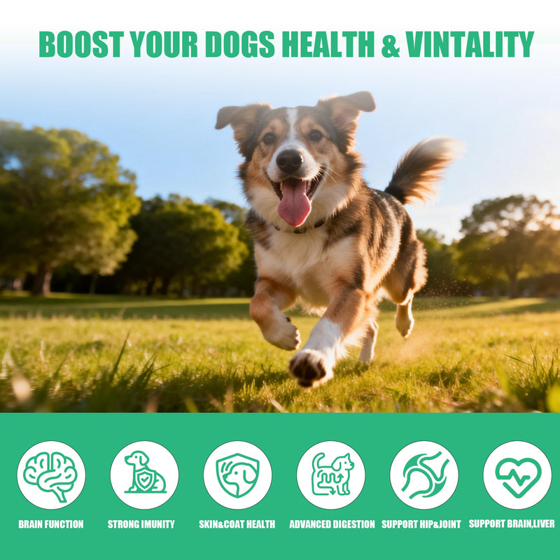 Dog Vitamins and Supplements, 16 in 1 Multivitamins Essential Dog Vitamin Minerals Chewable with Omega-3 Fish Oil Glucosamine Probiotics for Pet Hip Joint Skin Coat Digestion Health, 120 Chews