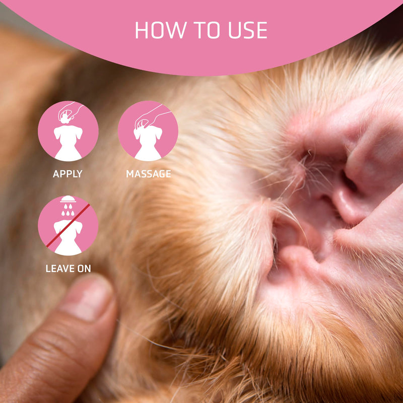 Artero Clear Ear Dust for Dogs. Prevents perspiration and eliminates bad odor as a result of moisture in the dog's ears.