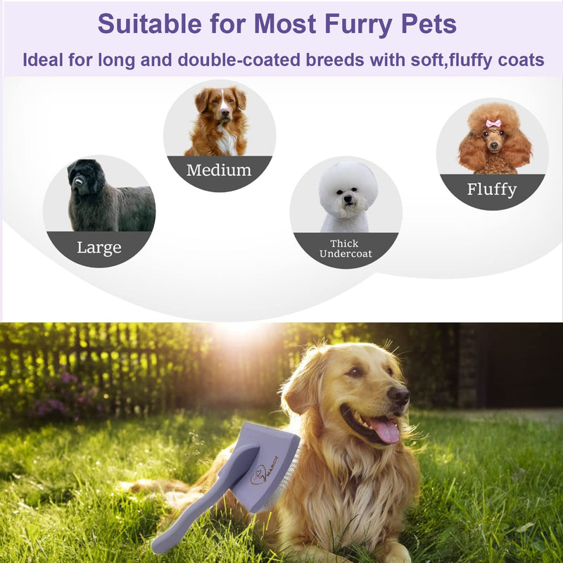 Slicker Brush for Dogs & Pet Comb Value Kit,Large Dog Slicker Brush for Goldendoodles Poodles Doodle with Ergonomic Solid Wooden Handle Best Extra Long Pin Dog Grooming Brush Haired Dogs (purple) purple - BeesActive Australia