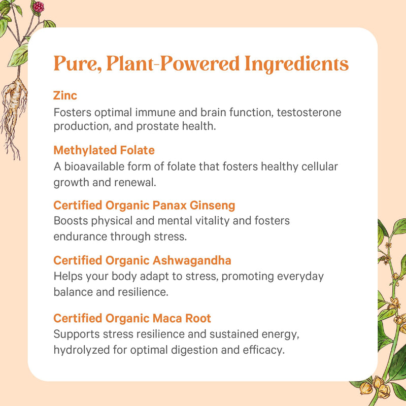 PURE SYNERGY Vita·Min·Vitality Multivitamin for Men (60 Tablets) | Men's Daily Multivitamin, Made with Organic Whole Foods, For Energy, Stress, & Immune Support
