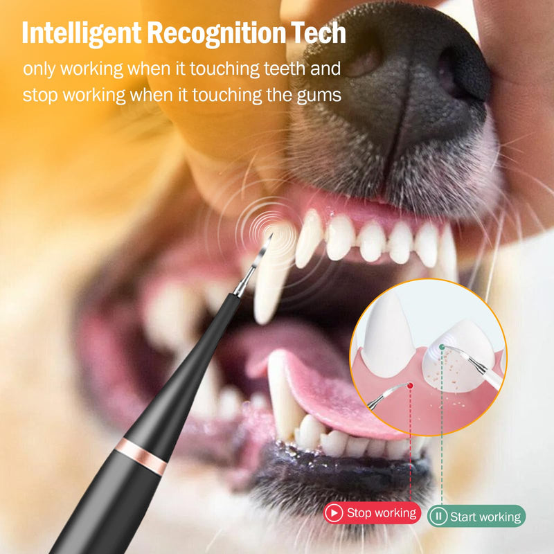 Dog Plaque Remover, Pet Teeth Cleaning Products, Dog Tartar Remover with 6 Modes and Complete Care Kit for Dogs and Cats, Rechargeable, Black