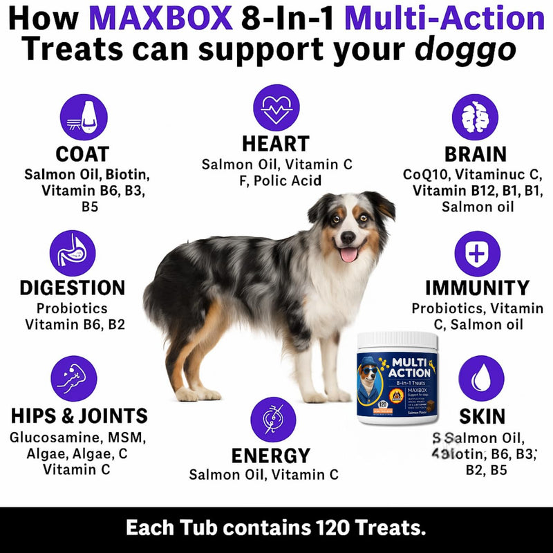 Dog Vitamins with DHA, Probiotics & CoQ10, Dog Supplements for 8-in-1 Multivitamin Treats, Complete Daily Wellness Supports Brain, Heart, Skin, Coat, Immunity, Digestion, Joints & Energy