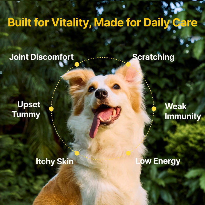 PENPEN Dog Vitamins and Supplements, Chewable Multivitamin for Dogs with Glucosamine, Omega-3, Probiotics – Supports Hip & Joint, Digestion & Immunity – All-in-One for Senior & Puppy (Chicken, 120ct)