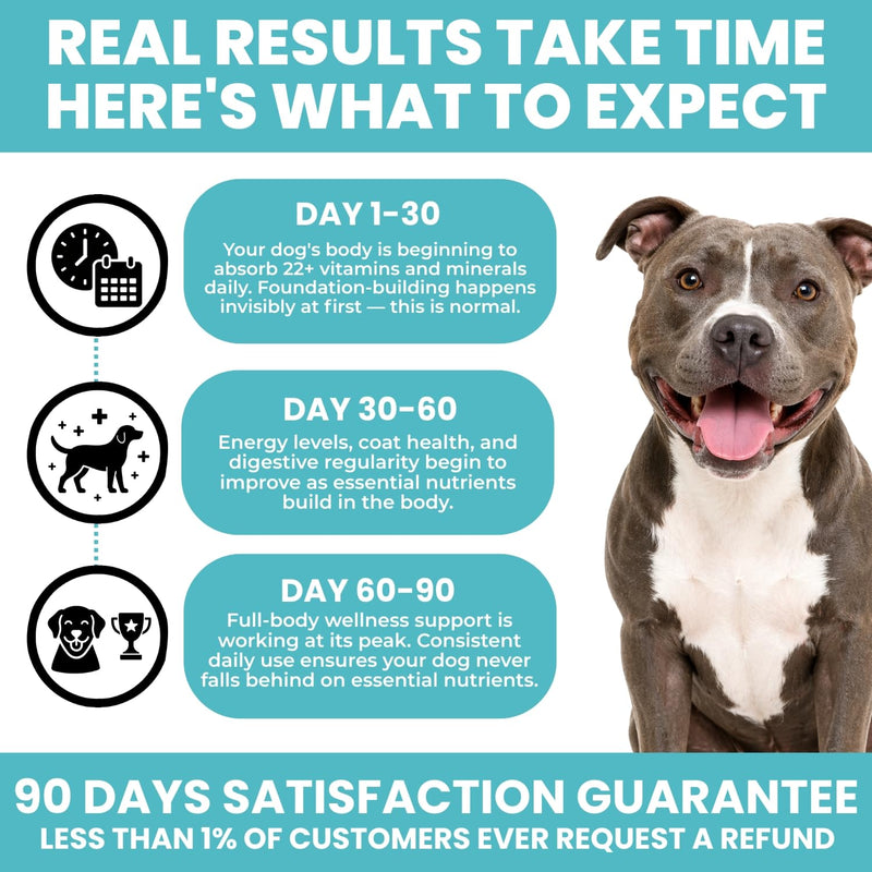 Multivitamin for Dogs - 25-in-1 Daily Dog Vitamins Soft Chews with Essential Vitamins & Minerals - Immune, Skin, Joint, Heart & Digestive Support for All Breeds & Ages, 60 Count