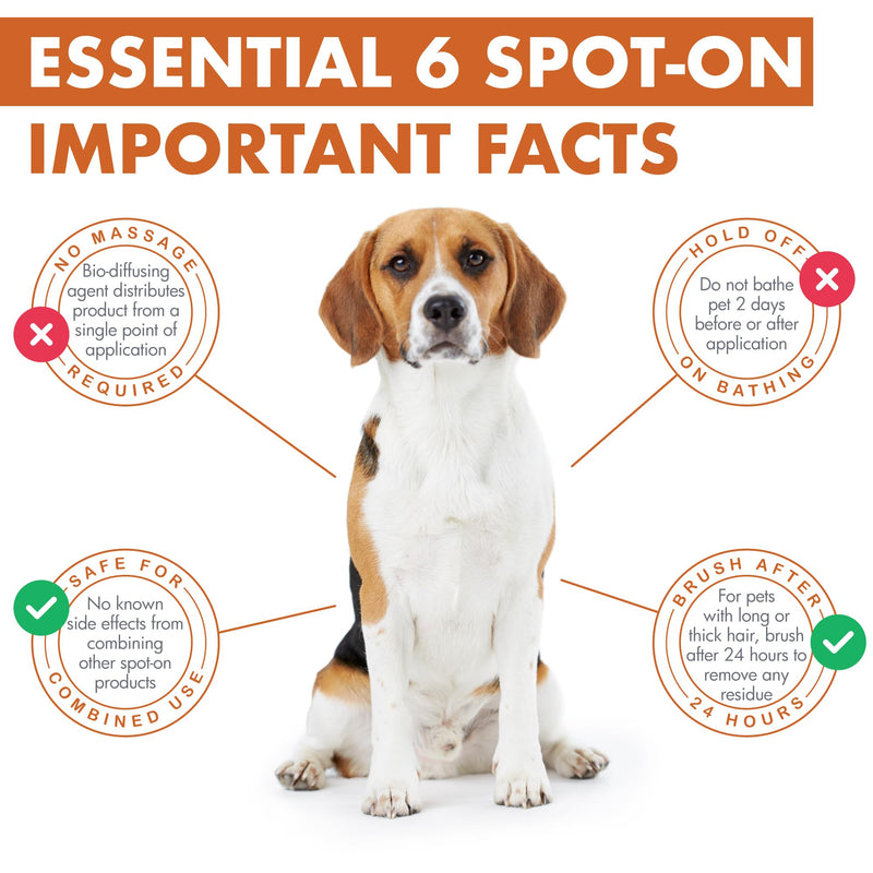 Dermoscent | Essential 6 Spot-On - Dog Itchy Skin Relief | Dandruff & Allergy Relief with Vitamin E Oil | Natural Ingredients for Sensitive Skin | Dogs 10-20 kg | 4 Pipettes of 1.2 ml