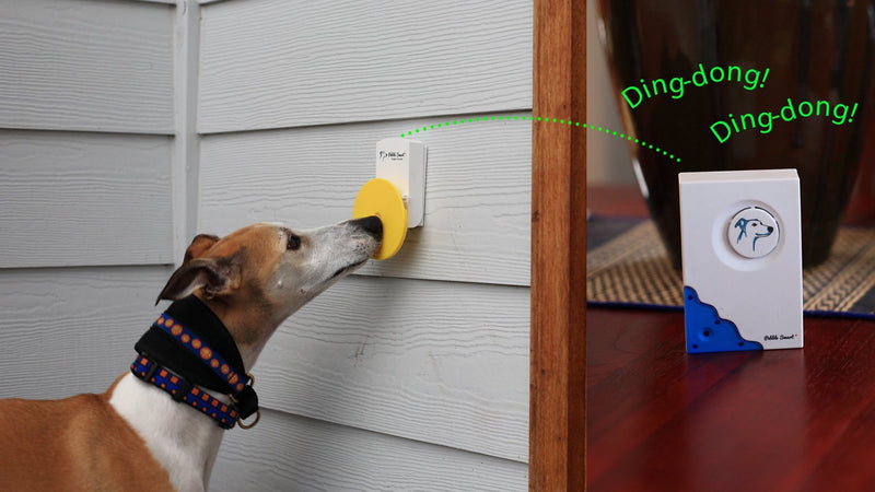 Doggie Doorbell - Blue Accent - BeesActive Australia