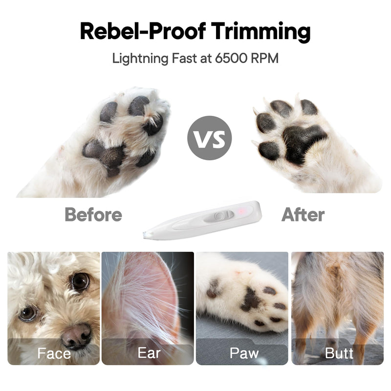 Dog Paw Trimmer with LED Light, Rechargeable Cordless Electric Grooming Clippers, Low Noise Pet Hair Shaver for Small Dogs Cats Trimming Around Paws, Eyes, Ears, Face, Rump - BeesActive Australia