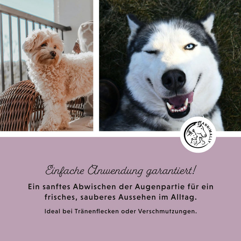 Annimally eye care pads for dogs and cats - 100x eye pads for tear stains and for eye cleaning - eye cleaner for eye care and cleaning with aloe vera, chamomile and panthenol - BeesActive Australia