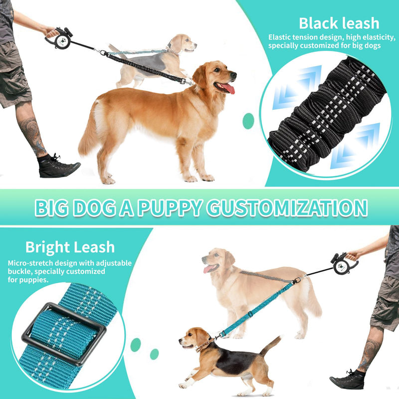 Double Dog Leash for Two Dogs - 2-in-1 Upgraded Double Leash for Two Dogs with Adjustable Strap & Shock Absorbing Bungee, No Tangle Dual Training Splitter (Purple) - BeesActive Australia