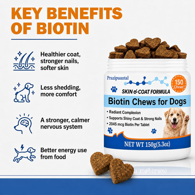 Biotin for Dogs Soft Chews, Skin and Coat Supplement for Dog Shedding and Dry Skin Relief, High Potency Dog Nail Strengthener with 42% Protein and B-Vitamin Complex, Chicken Flavor 150 Count