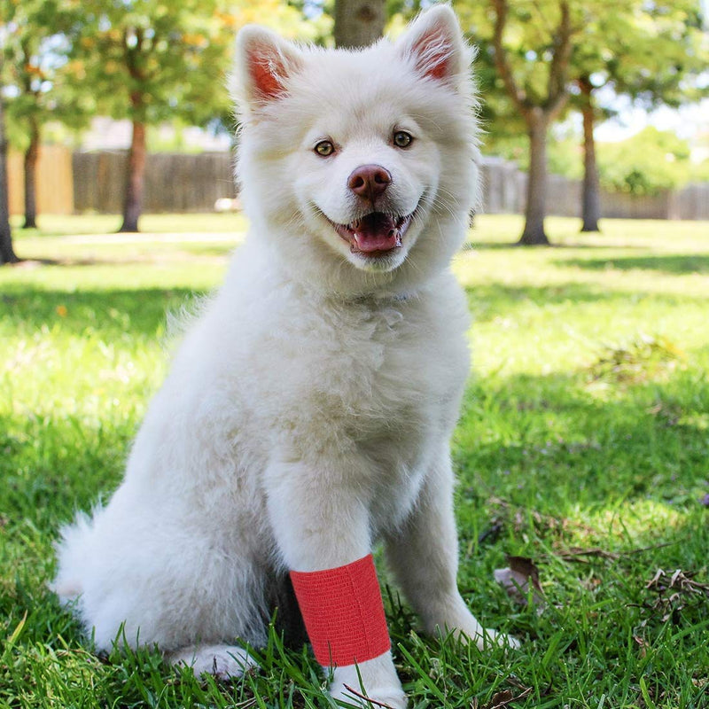 Juvale 12-Rolls Self Adhesive Bandage Wrap, Vet Tape - 4 in x 5 Yds Breathable, Elastic Cohesive Wrap Tape for Wrist, Swelling, Sports, Tattoo (12 Bright Colors) - BeesActive Australia