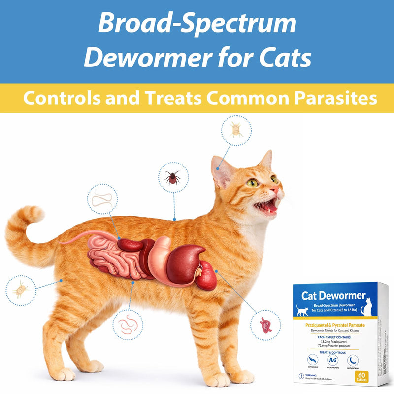 Broad Spectrum Cat & Kitten Dewormer – Praziquantel & Pyrantel Pamoate for Tapeworms, Roundworms & Hookworms (60 Tablets)