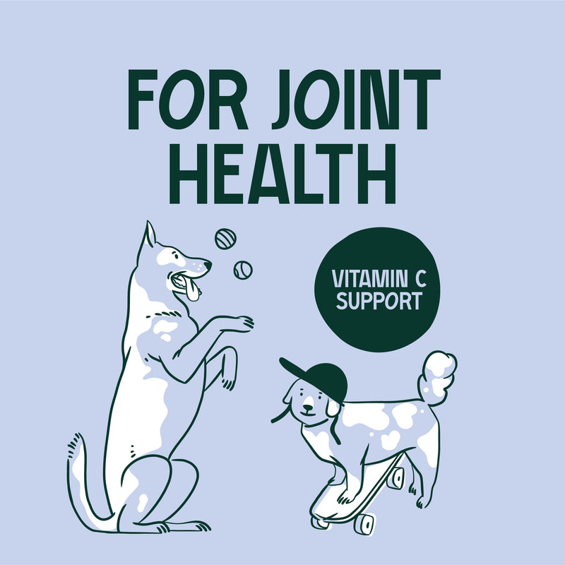 Joint Care for Dogs 160 g - Natural Joint Support Powder with Glucosamine Chondroitin MSM Turmeric and Hyaluronic Acid Supports Mobility