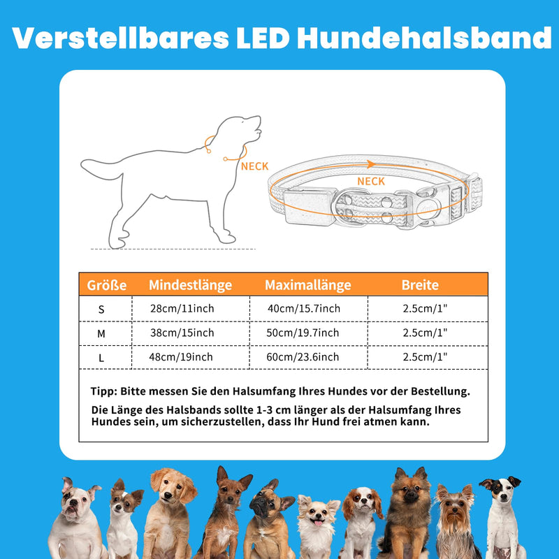 Aisuowa LED light dog collar, USB rechargeable dog collar, luminous, waterproof luminous collar for dogs and cats, 12 lighting modes collar for small, medium and large pets, M - BeesActive Australia