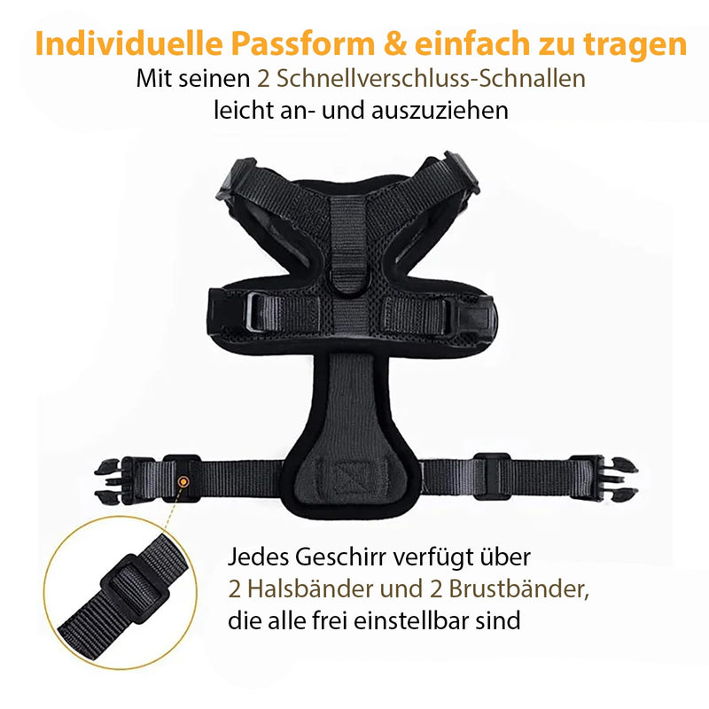 Comfortable cat harness with leash - Breathable air mesh, Suitable for neck circumference 21-28 cm, chest circumference 34-41 cm - Easy to put on and take off - Perfect for walks with your cat XS Black - BeesActive Australia