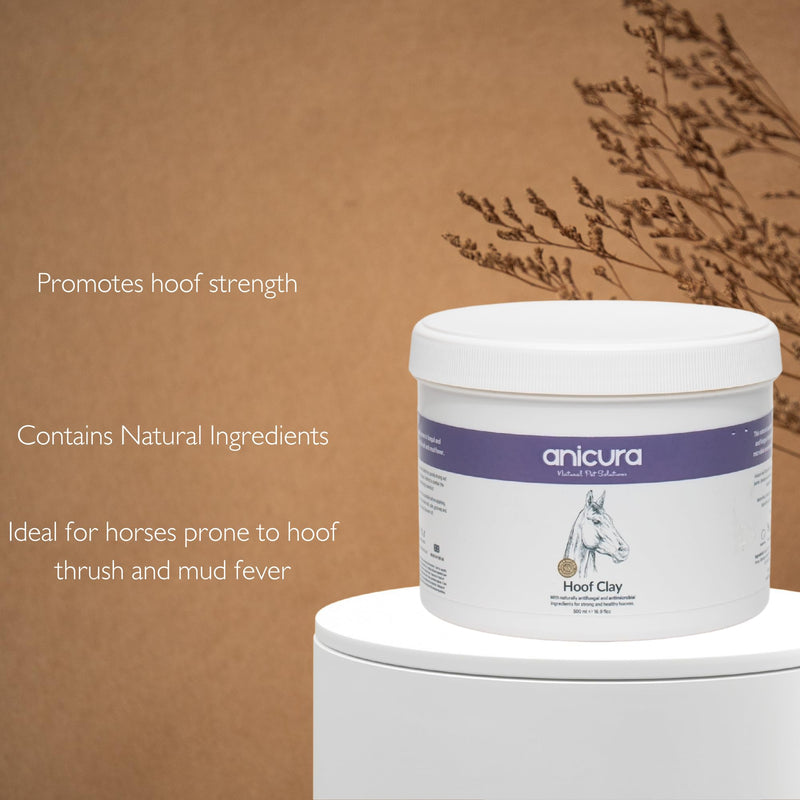 Anicura Hoof Clay for Horses – Antimicrobial & Antifungal Hoof Care, Prevents Thrush & Mud Fever, Promotes Hoof Strength, Cooling & Anti-Inflammatory Formula, 500g