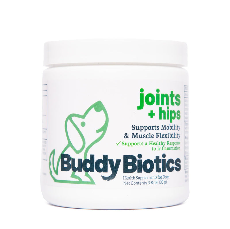 Joint + Hip Support Powder for Dogs – Glucosamine, Chondroitin & MSM with Systemic Enzymes, Supports Mobility, Flexibility & Tissue Health, Easy Sprinkle-On Formula