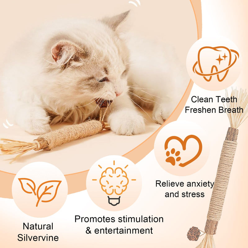 Natural Silvervine Dental Sticks, Natural Silvervine Sticks for Cats, Cleaning Dental, Scratch and Bite Resistant, Calm Cat Boring, for Indoor Kitty Interactive Kitten Chew Playthings (3Pcs) 3Pcs