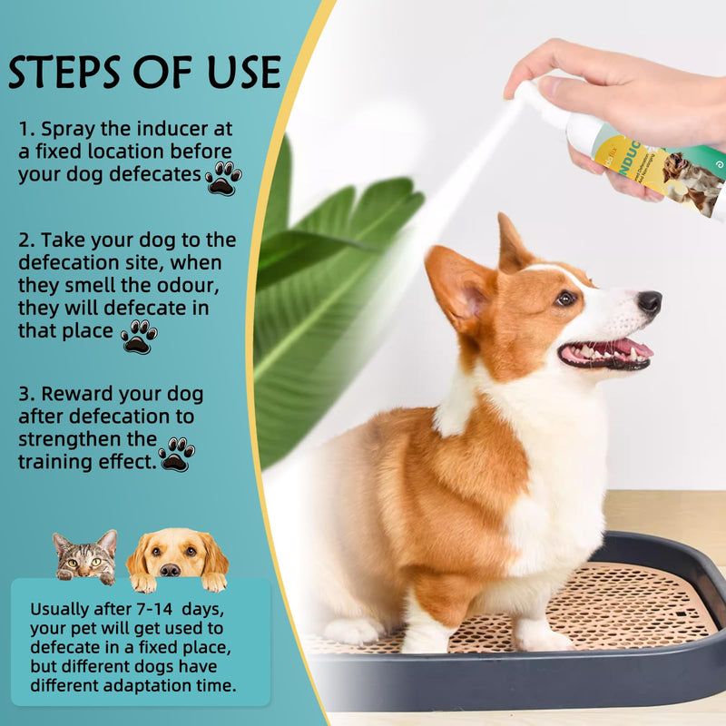 Dog Potty Training Spray,Potty Here Spray for Dogs for Indoors & Outdoor,Training Spray for Dogs to Pee in One Spot,Prevent Your Pet from Soiling The Carpet,120ML - BeesActive Australia