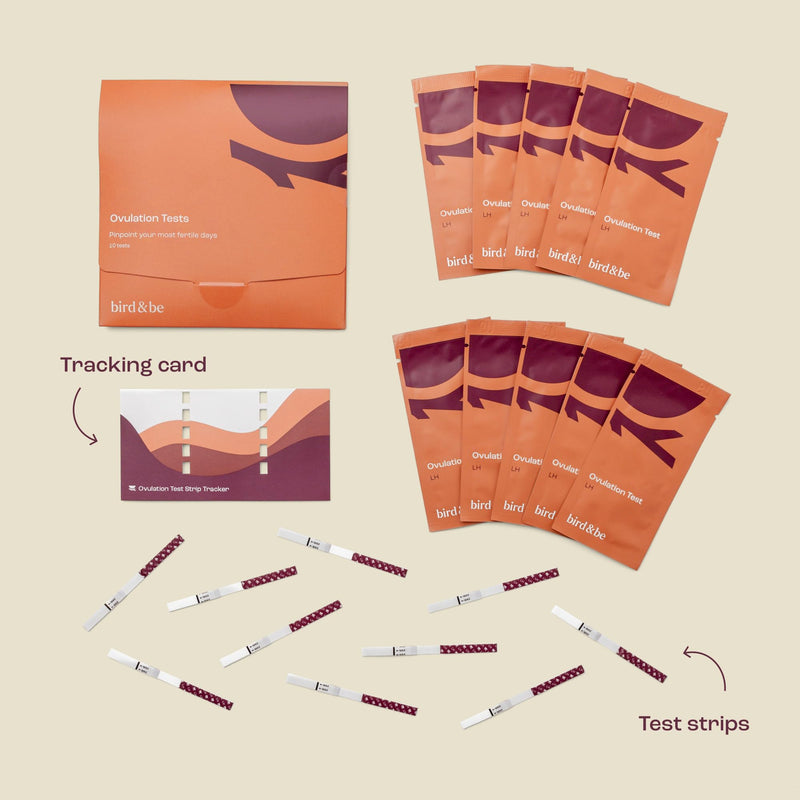 bird&be Ovulation Test Strips (LH) | 10 High-Accuracy Predictor Kits | Track Fertile Window & LH Surge | Eco-Friendly Low-Waste Design | Easy Dip & Read Results | TTC Fertility Monitor White 10 Lh Strips - BeesActive Australia