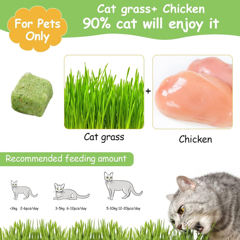 HavenJanny 60g Cat Grass Treats for Cat, Freezed Drying Cat Grass Teething Stick Snacks for Cats, Edible Cat Chew Toys for Teeth Cleaning and Hairball Removal 2.11ounce - BeesActive Australia