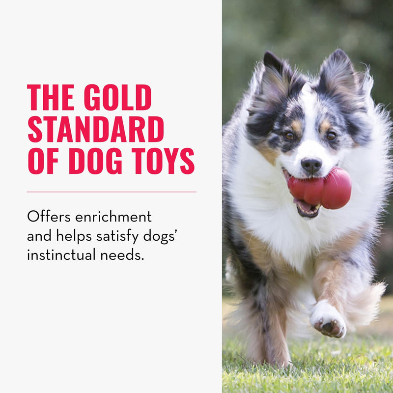 KONG Classic Stuffable Dog Toy - Fetch & Chew Toy for Dogs - Treat-Filling Capabilities & Erratic Bounce for Extended Play Time - Durable Natural Rubber Material - for Large Dogs Large (Pack of 1) Standard Packaging