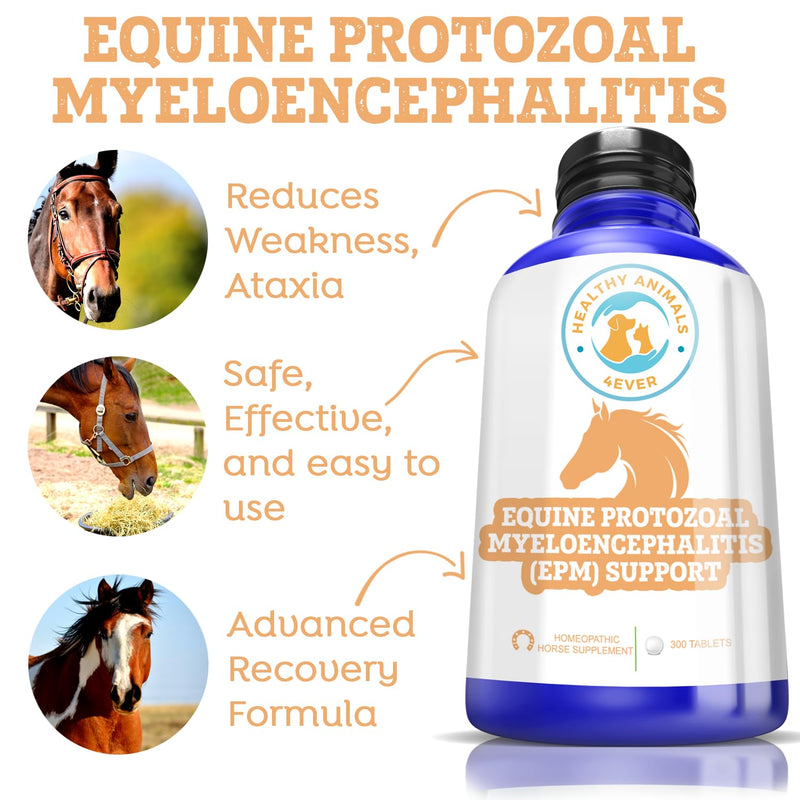 HealthyAnimals4Ever Horse All-Natural Equine Protozoal Myeloencephalitis (EPM) Support - Reduces Weakness, Ataxia & Loss of Coordination - Supplements for Horses - Highly Effective - 300 Tablets - BeesActive Australia