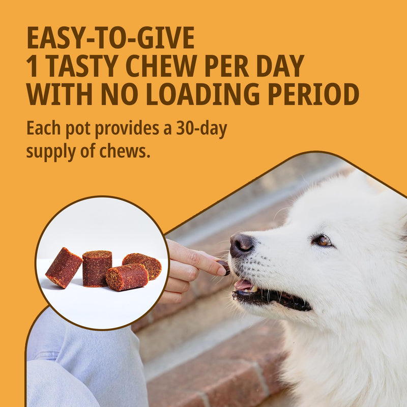 MOVOFLEX® Joint Supplement for Medium Dogs 15-35kg | Support Joints & Mobility | Fast-Acting Tasty Chews | 30 Chews